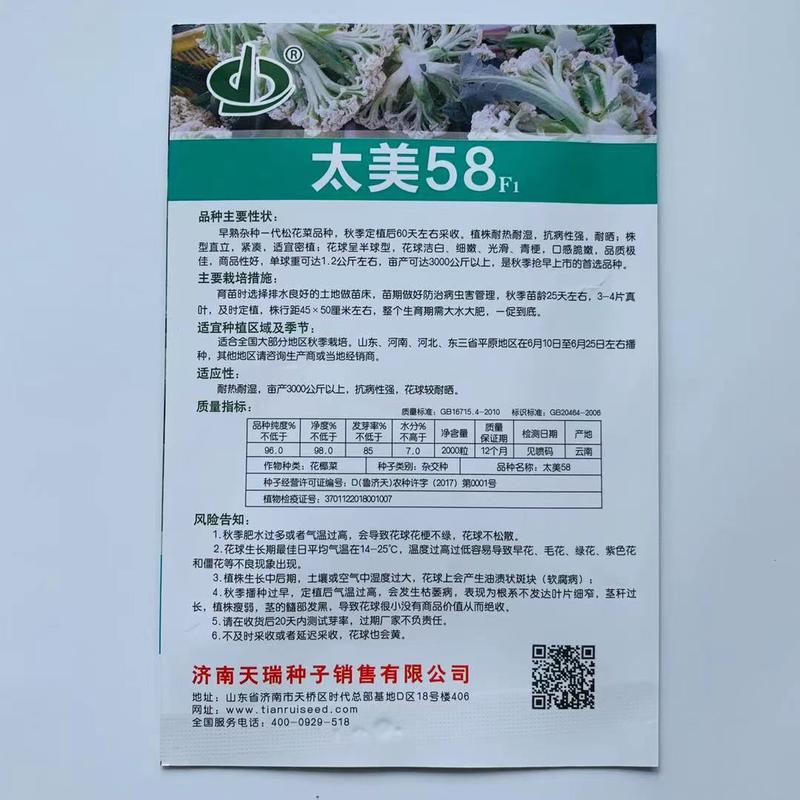 耐热耐晒耐湿产量高太美58早熟杂交一代松花菜种子青梗花菜