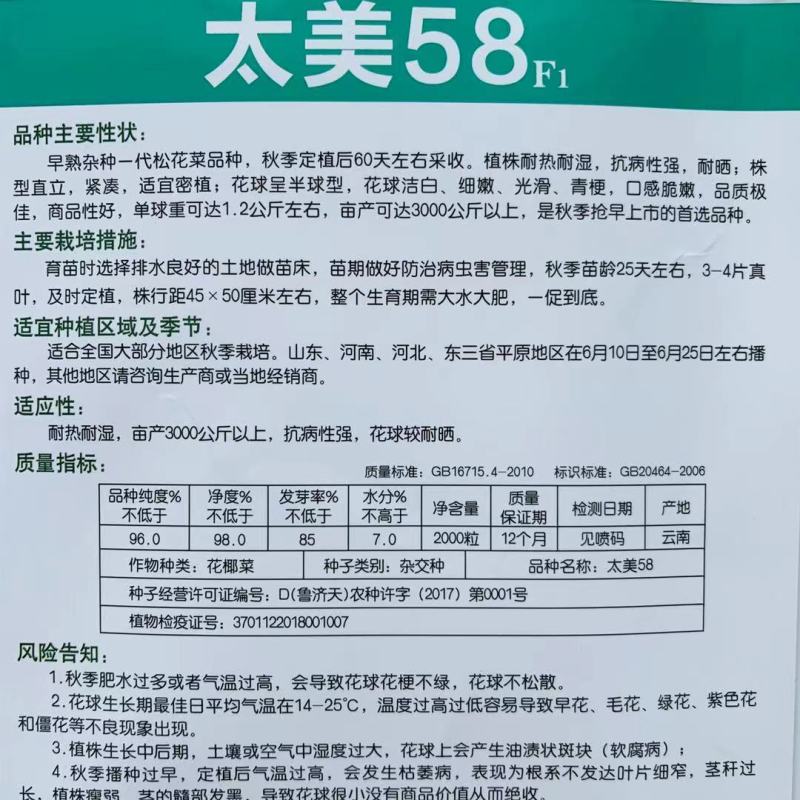 耐热耐晒耐湿产量高太美58早熟杂交一代松花菜种子青梗花菜