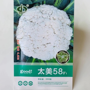 耐热耐晒耐湿产量高太美58早熟杂交一代松花菜种子青梗花菜