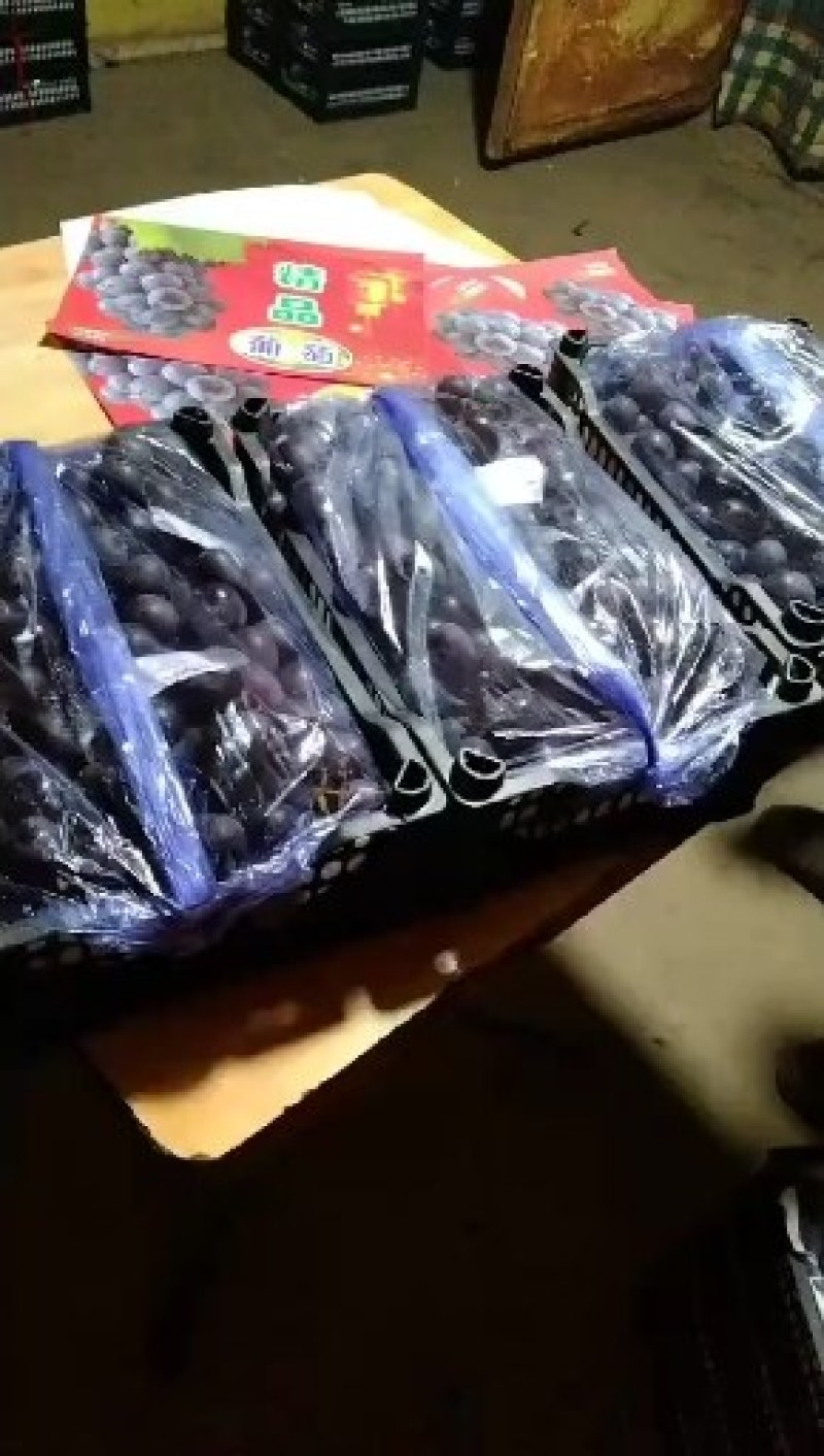4斤小️️黑箱葡萄，产地批发价格3.5元一箱。