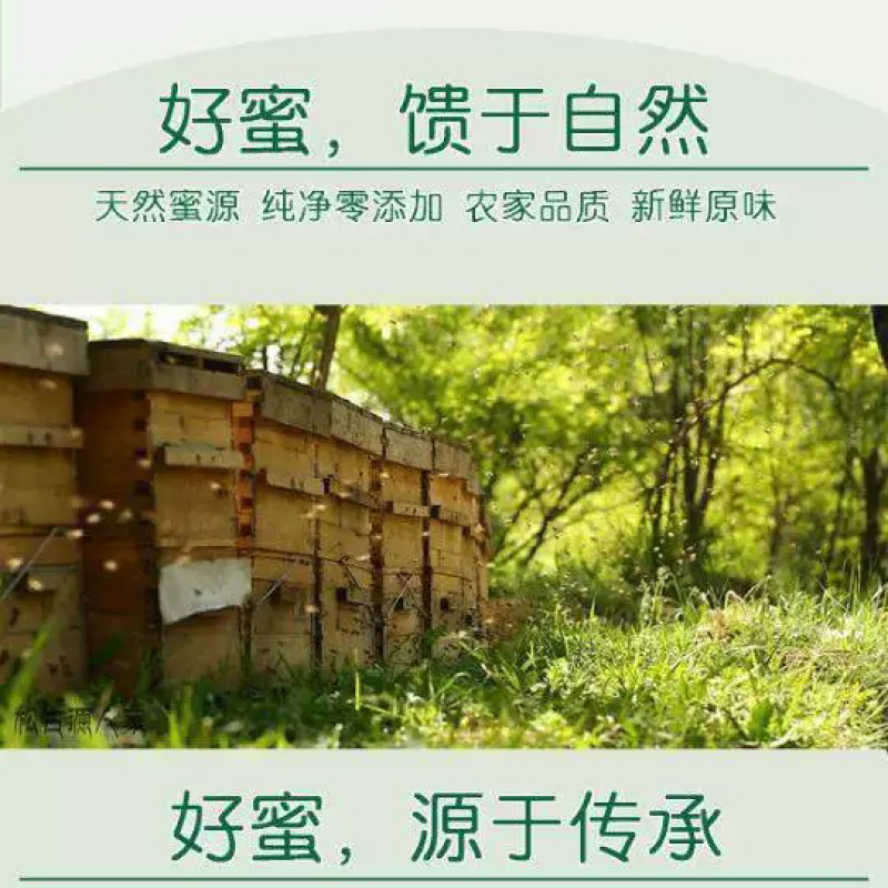 深山土蜂蜜百花蜜批发农家自产自销农家批发特产