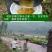 深山土蜂蜜百花蜜批发农家自产自销农家批发特产