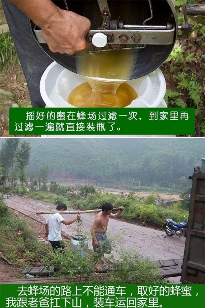 深山土蜂蜜百花蜜批发农家自产自销农家批发特产