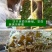 深山土蜂蜜百花蜜批发农家自产自销农家批发特产