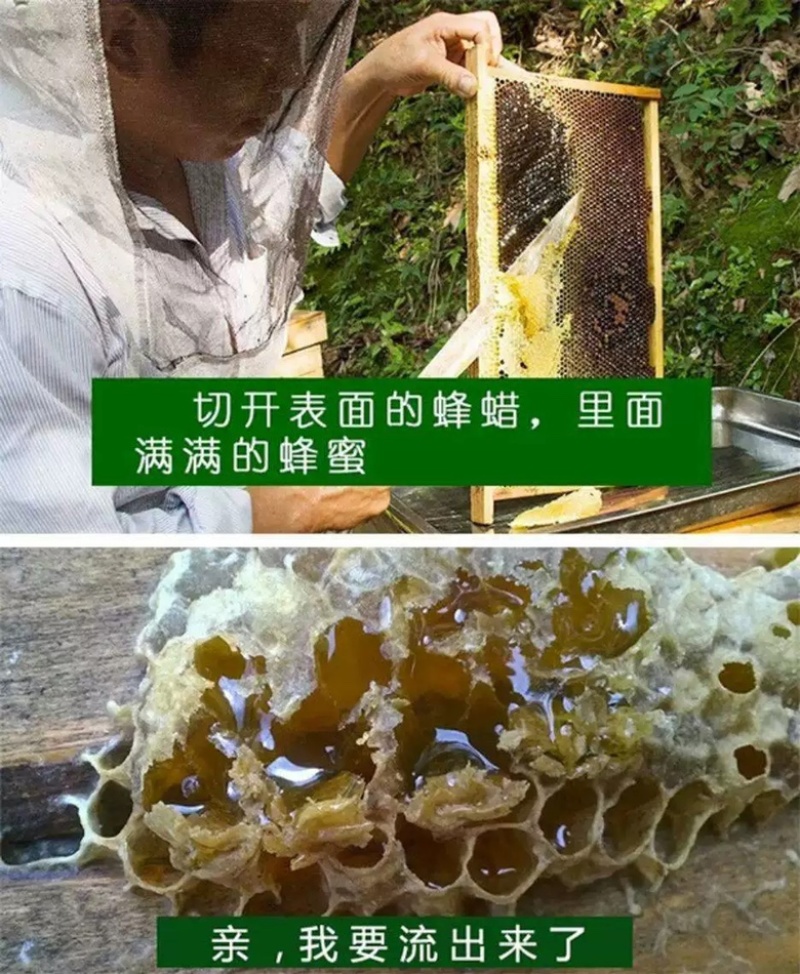 深山土蜂蜜百花蜜批发农家自产自销农家批发特产
