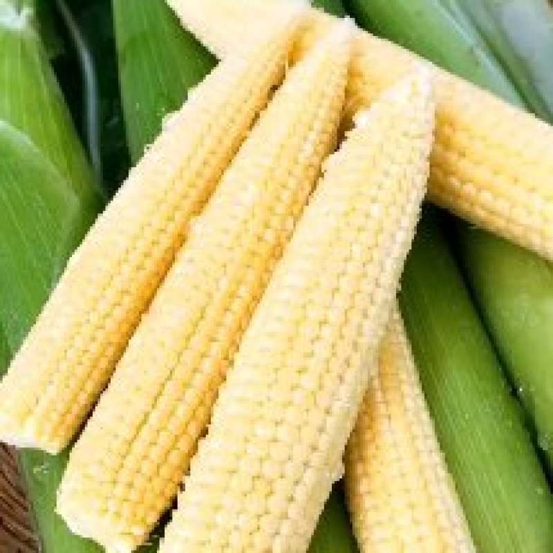 新鲜水果甜玉米笋现摘玉米芯玉米仔嫩玉米餐厅高档蔬菜包邮。