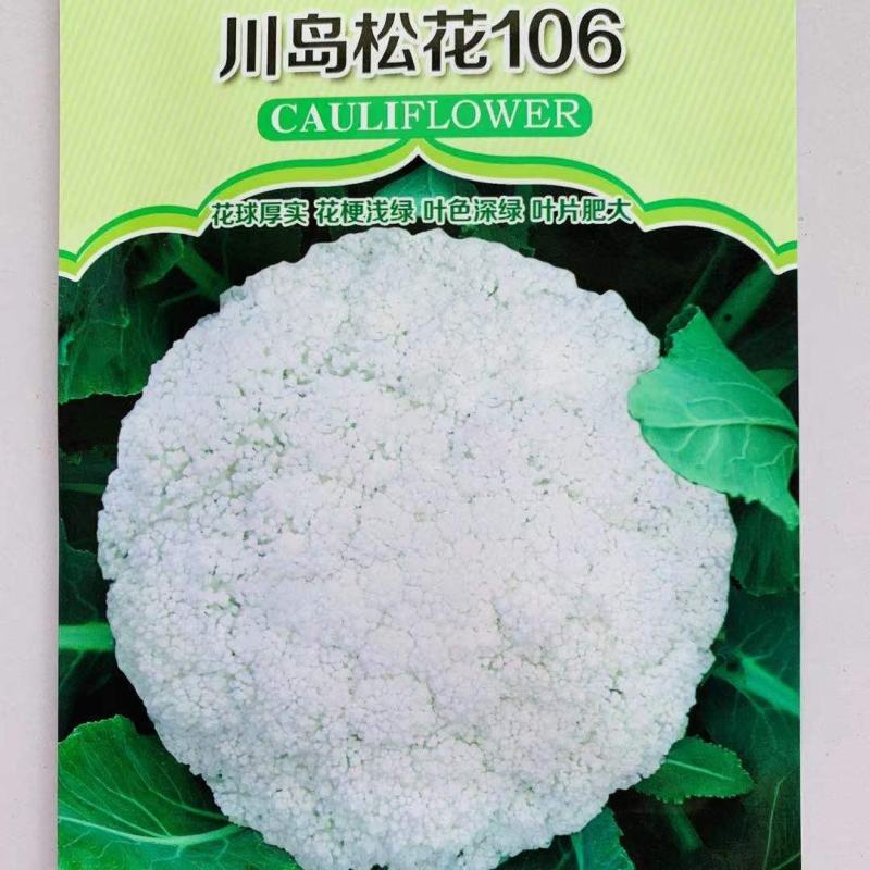川岛松花106松花菜种子花球厚实晚熟青梗松花菜花椰菜种子