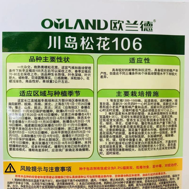 川岛松花106松花菜种子花球厚实晚熟青梗松花菜花椰菜种子