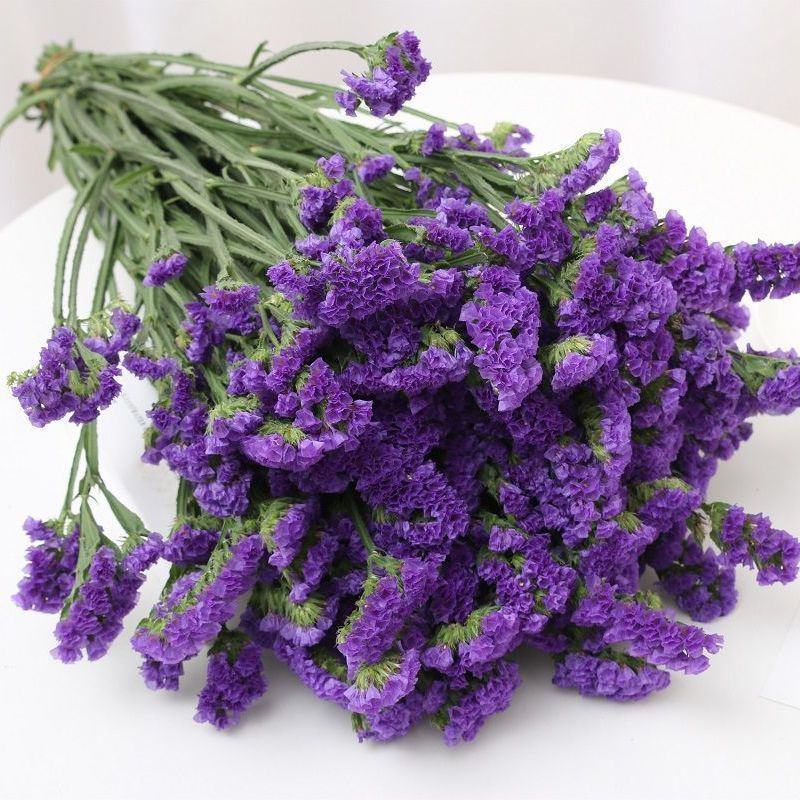 云南基地直发勿忘我鲜花干花花束称斤批发量大优惠视频看货