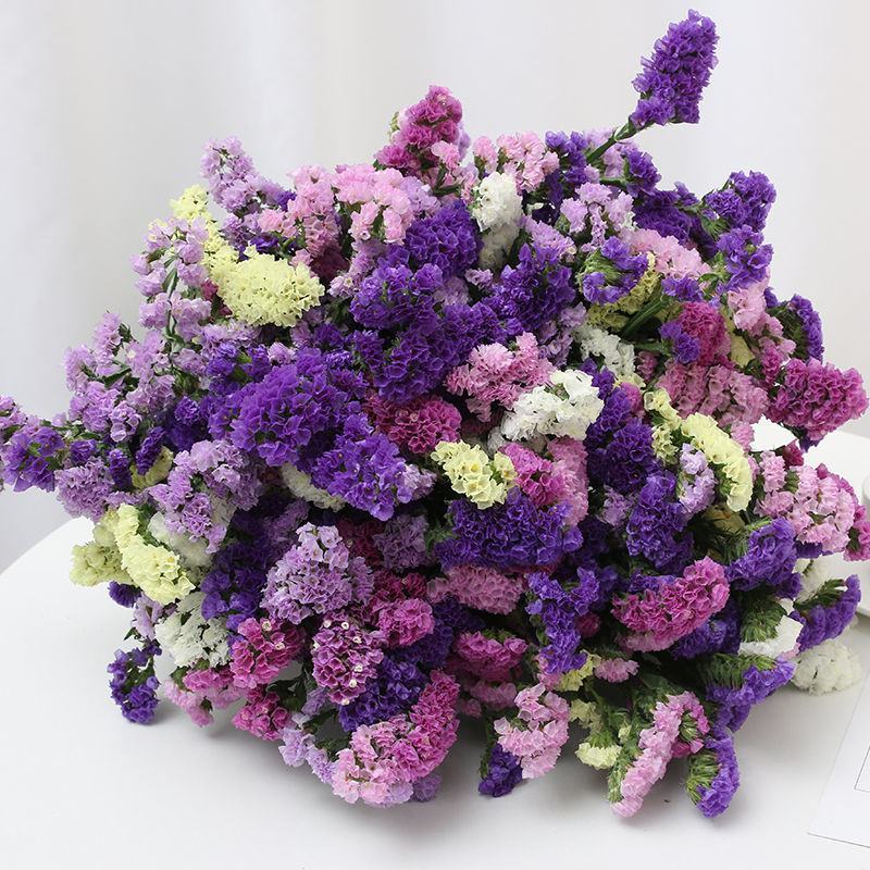 云南基地直发勿忘我鲜花干花花束称斤批发量大优惠视频看货