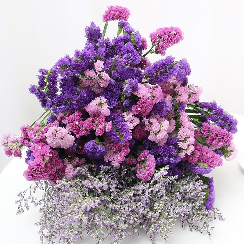 云南基地直发勿忘我鲜花干花花束称斤批发量大优惠视频看货