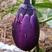 紫罐茄子种子早春大牛心茄种籽紫黑茄子种子茄子种籽包邮