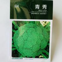 日本进口西兰花种子青花菜种子耐热耐抽苔松花菜花椰菜种