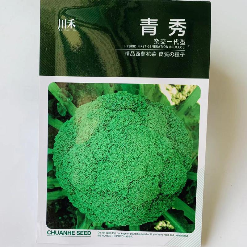 日本进口西兰花种子青花菜种子耐热耐抽苔松花菜花椰菜种