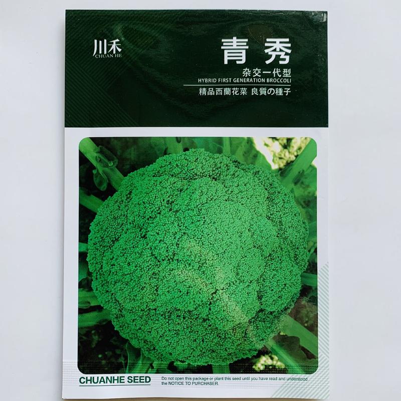日本进口西兰花种子青花菜种子耐热耐抽苔松花菜花椰菜种