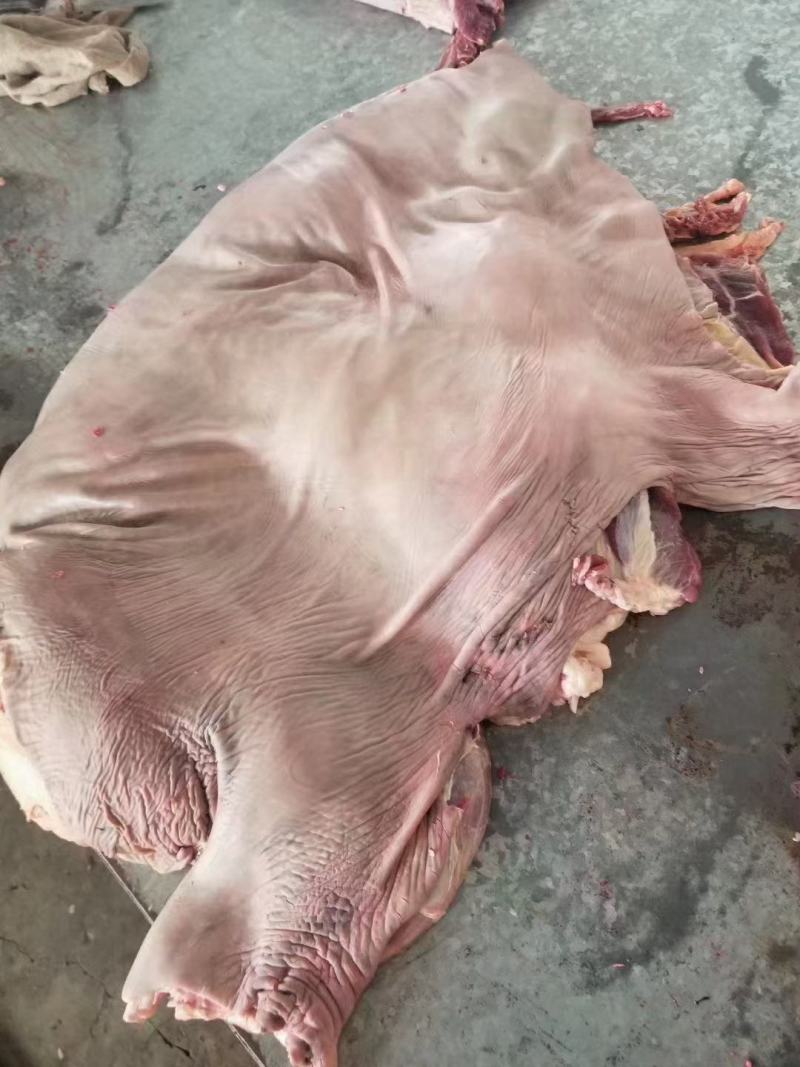 带皮驴肉颜色新鲜质量保证！！支持全国发货！！！！！！！！