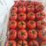 山东费县硬粉西红柿大量上市中超市电商市场，