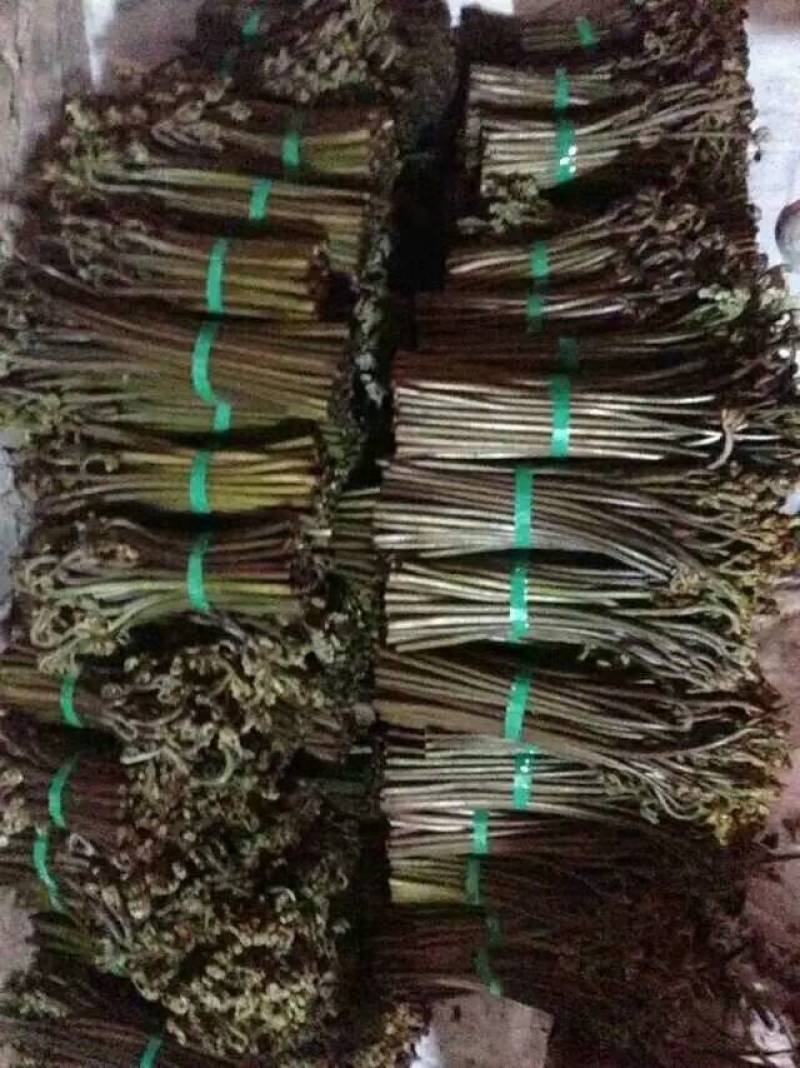 撅菜