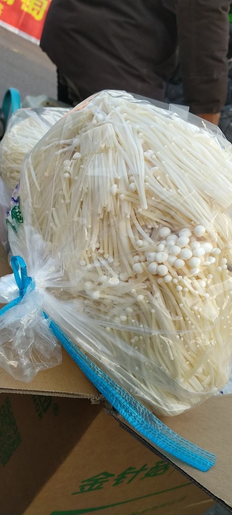 金针菇，食堂货，赶大集货，新鲜便宜营养价值高新鲜美味，