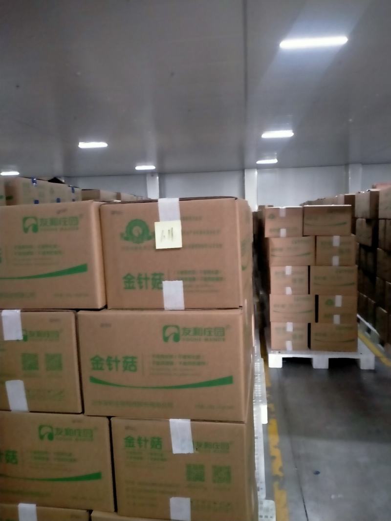 金针菇，食堂货，赶大集货，新鲜便宜营养价值高新鲜美味，