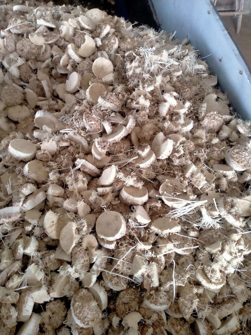 金针菇根，可喂羊喂牛营养价值高，
