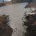 湿猪粪