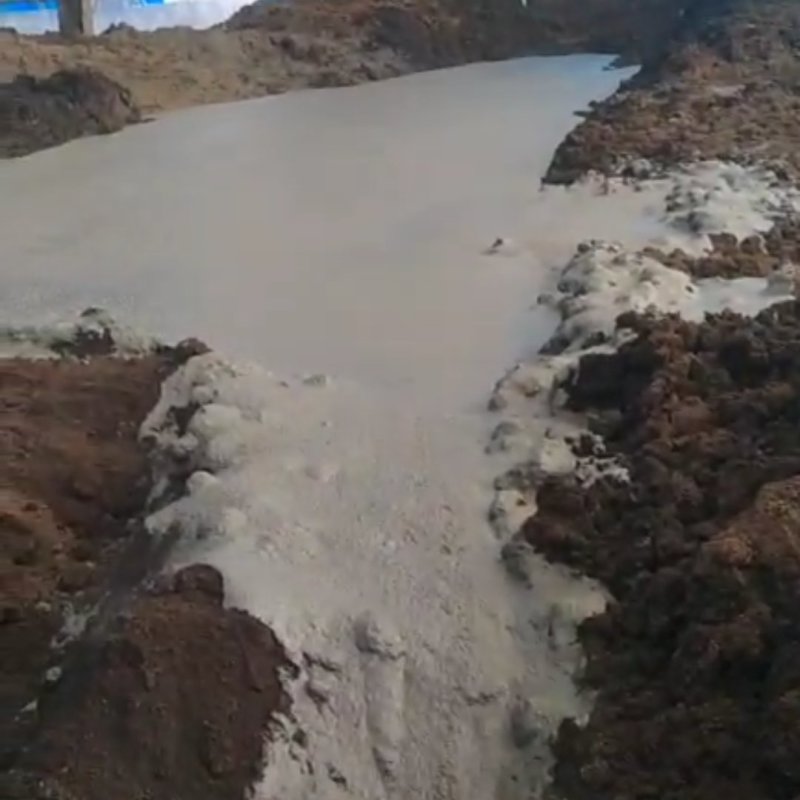 湿猪粪