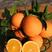 精品伦晚脐橙橙子柑橘产地直发保质保量欢迎订购