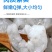 【会员专享】3斤一件虾仁鲜冻青虾仁冻虾虾仁冷冻10%冰衣