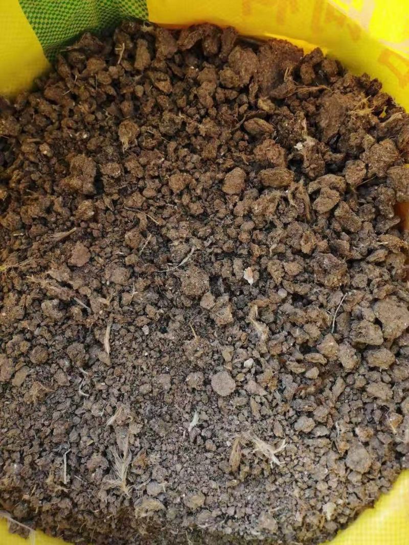 榆林大量供应鸟粪小块鸟粪颗粒鸟粪玉米专用肥增产增收蔬菜用