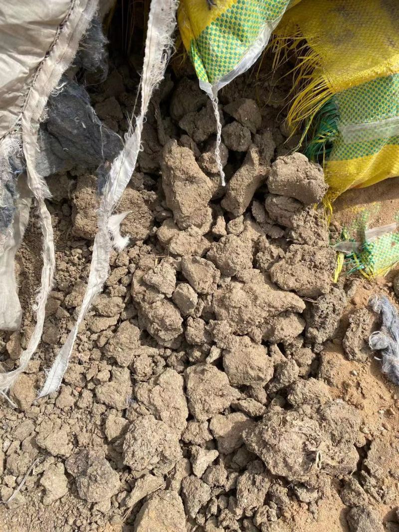 榆林大量供应鸟粪小块鸟粪颗粒鸟粪玉米专用肥增产增收蔬菜用
