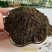 柱状有机肥高活性有机肥料生物有机肥厂家批发直销批发价有机