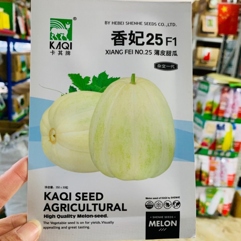 香妃25阔梨形薄皮甜瓜种子香甜爽口皮薄且韧抗病春秋种植