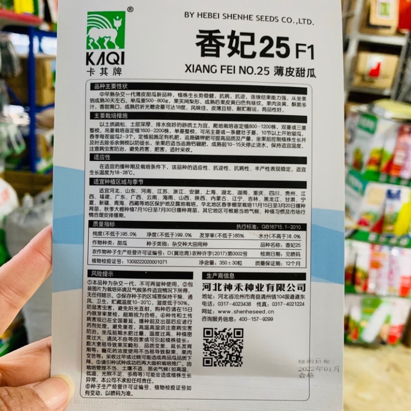 香妃25阔梨形薄皮甜瓜种子香甜爽口皮薄且韧抗病春秋种植