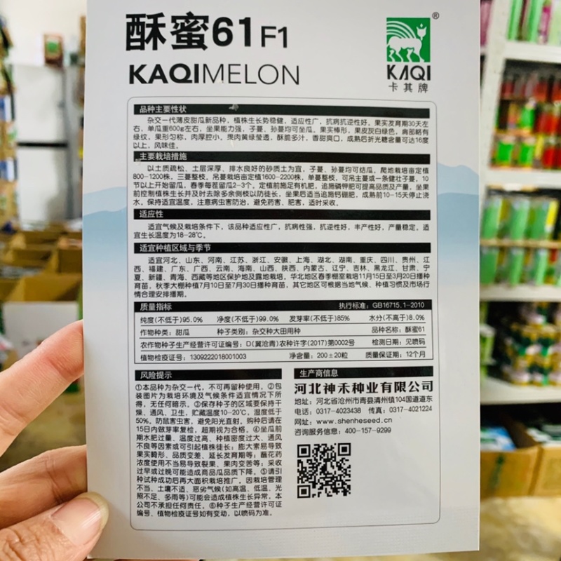 正宗酥蜜61薄皮甜瓜种子杂交一代香甜爽口灰白绿色甜瓜