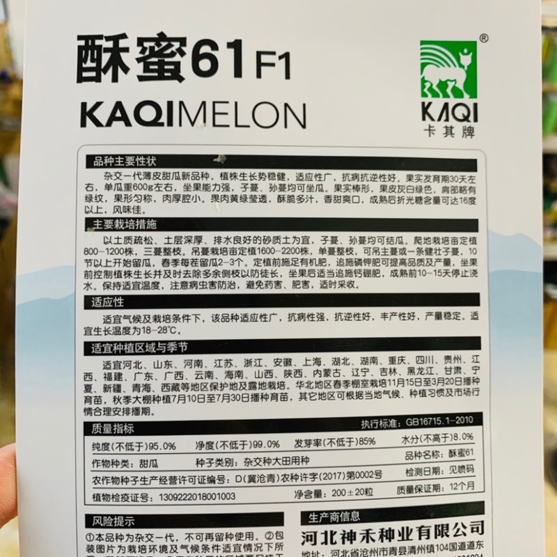 正宗酥蜜61薄皮甜瓜种子杂交一代香甜爽口灰白绿色甜瓜