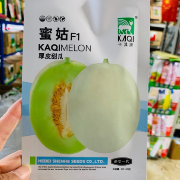 卡其蜜姑厚皮甜瓜种子脆甜无渣杂交品种甜瓜种籽哈蜜瓜种子