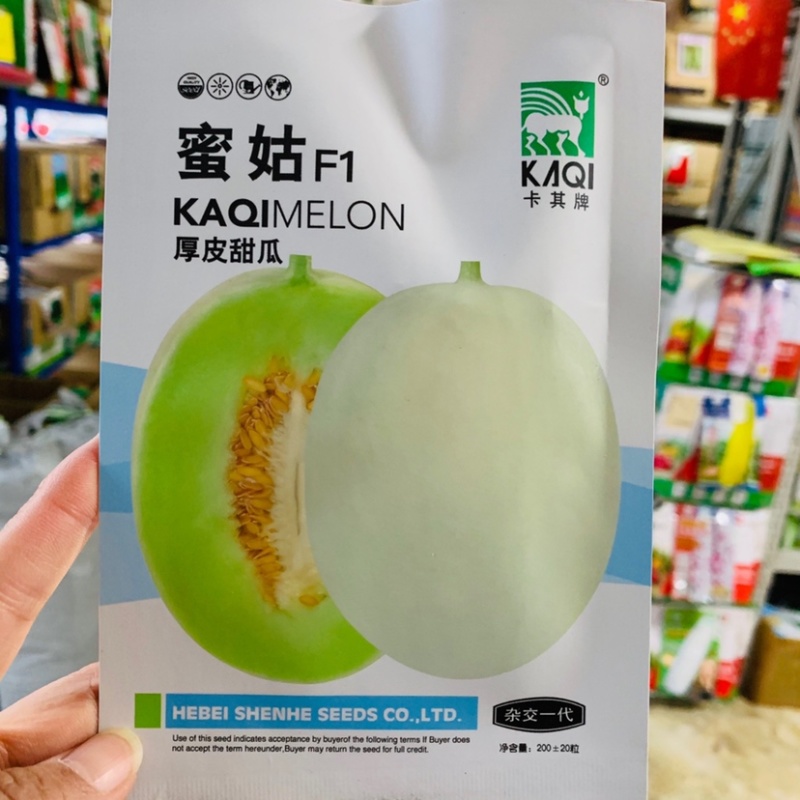 卡其蜜姑厚皮甜瓜种子脆甜无渣杂交品种甜瓜种籽哈蜜瓜种子