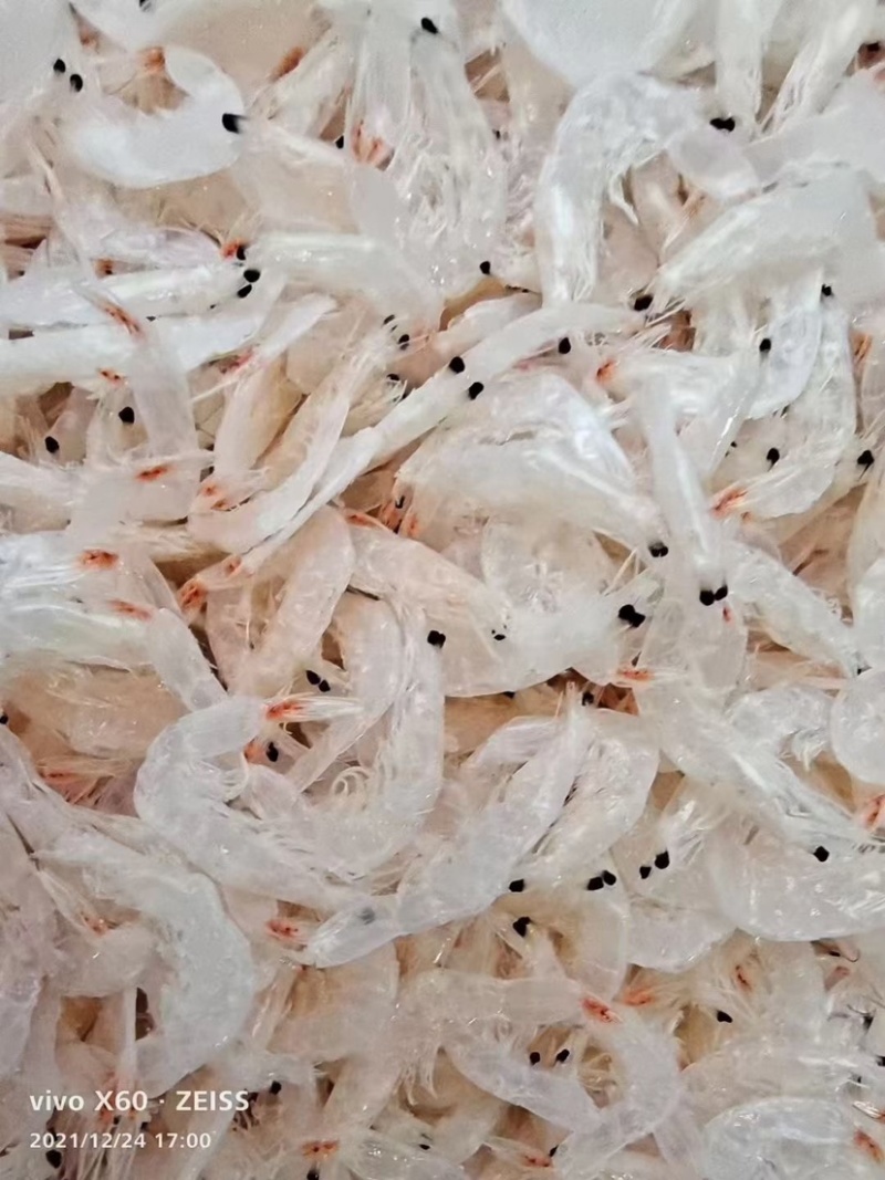 优质白虾皮可炒菜炒粉煮汤煮粥煎蛋