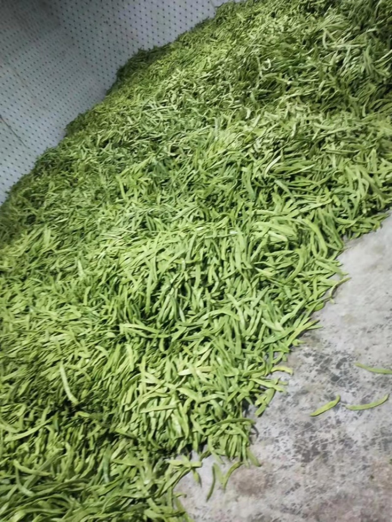 货源充足代发全国