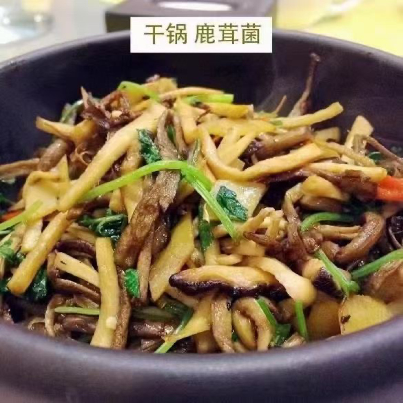 鹿茸菇脆嫩可煲汤，煮面，焖炒！营养美味