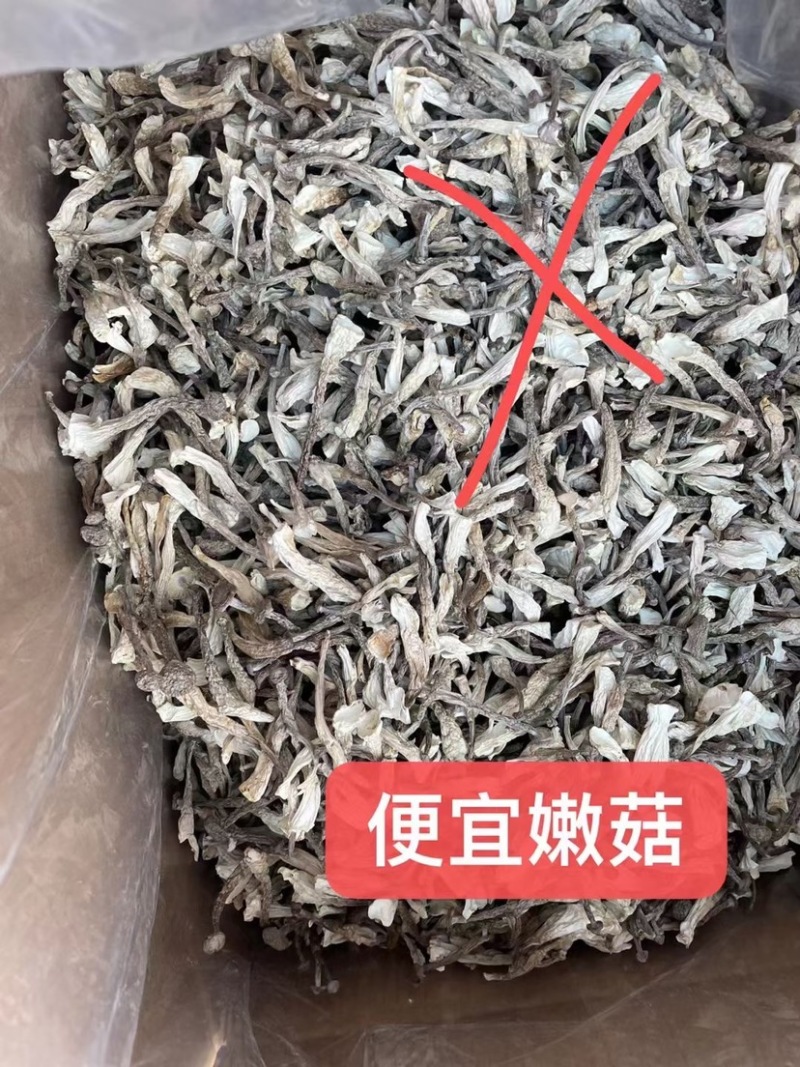鹿茸菇脆嫩可煲汤，煮面，焖炒！营养美味