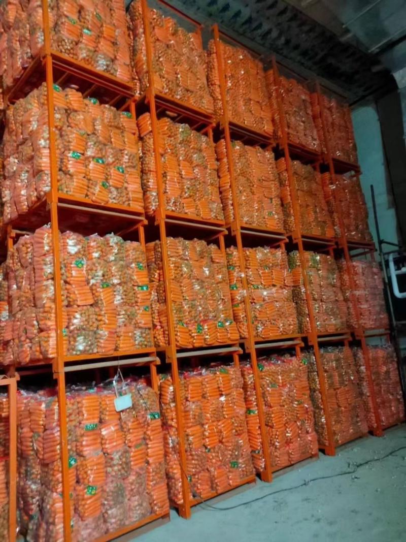 三红胡萝卜现挖，货源充沛、2万斤起售、有意者联系