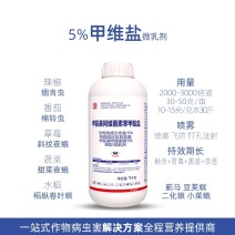 5%甲维盐蔬菜豆角水稻柑橘甜菜夜蛾小菜蛾青虫蓟马农药