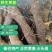 陕西汉中黄姜野生大火头根新鲜野黄姜火藤根批发，零售