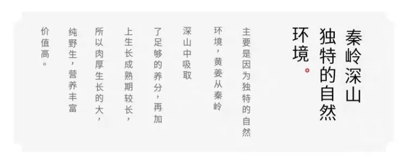 陕西汉中黄姜野生大火头根新鲜野黄姜火藤根批发，零售