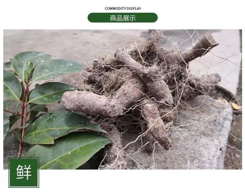 陕西汉中黄姜野生大火头根新鲜野黄姜火藤根批发，零售