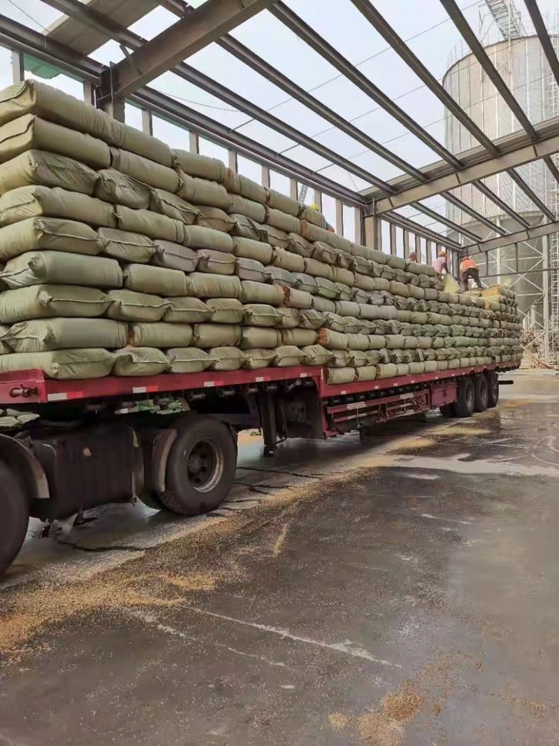 辽宁沈阳，黑龙江五常大量稻壳现货！交通便利好找车