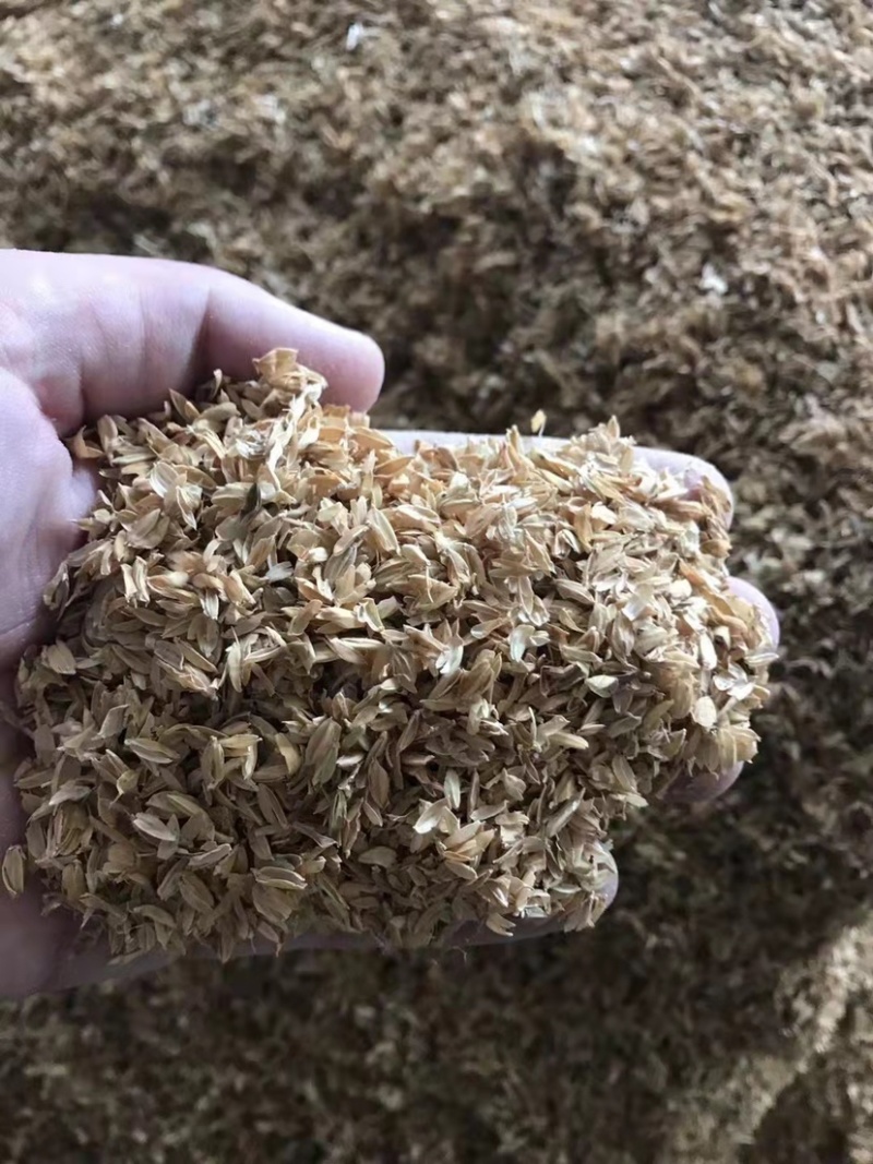 辽宁沈阳，黑龙江五常大量稻壳现货！交通便利好找车