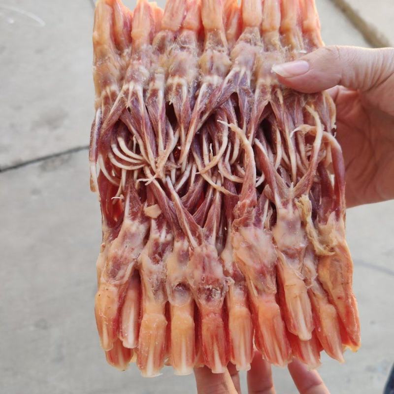 鸭舌